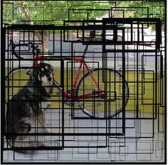 a photograph of a dog and a bicycle, with proposed object boxes from the YOLO algorithm displayed on top, where the tickness of the box corresponds to how likely an object is to be in that box