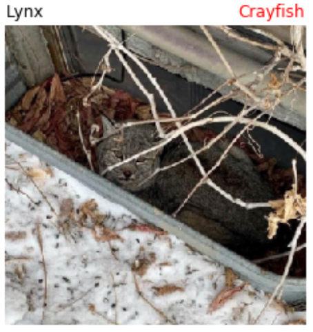 a photograph of a lynx on a snowy backdrop, with a bare tree branch in front of it, and some leaves on the ground, that is mistakenly classified by a machine learning model as a crawfish