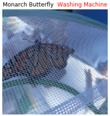 a photograph of a butterfly underneath what looks like cheesecloth, which is mistakenly classified by a machine learning model as a washing machine