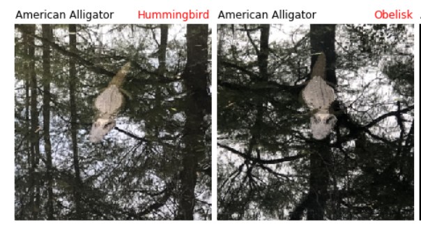 two very similar photographs of the same alligator swimming in water, where the first photgraph is classified by a machine learning model as a hummingbird and the second photograph is classified by a machine learning model as an obelisk