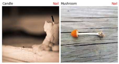 a photograph of a candle on a wooden plank and a mushroom on a wood plank, both of which are classified by a machine learning model as a nail
