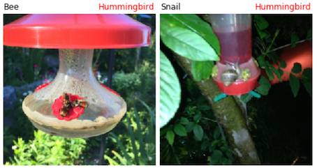 one photograph of a bee and one photograph of a snail, both on top of a hummingbird feeder, both of which are classified by a machine learning model as hummingbirds