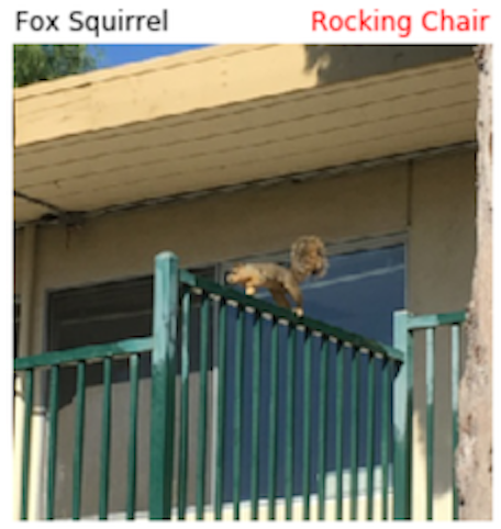 a photograph of a squirrel on top of a fence, which is mistakenly classified by a machine learning model as a rocking chair