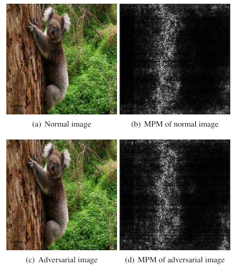 figure 1 from "Detection based defense against adversarial examples from the steganalysis point of view", showing a heat map of which pixels on an image of a koala are likely to be modified by an adversarial attack