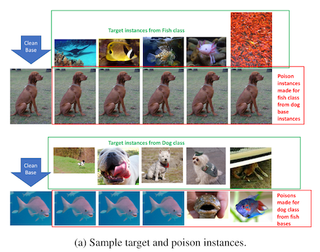 a figure showing examples of an image of a dog poisoned with fish features, and examples of an image of a fish poisoned with dog features