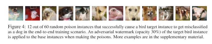 a figure showing examples of several images of dogs with bird watermarks overlayed on top