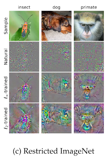 detail from figure 2 of "Robustness may be at odds with accuracy" showing loss gradients in pixel space on examples from restricted ImageNet
