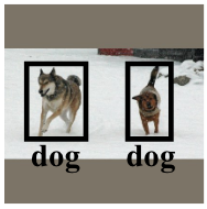 detail from figure 1 of "DetectorGuard: Provably Securing Object Detectors against Localized Patch Hiding Attacks." showing two dogs, labeled as dogs, with boxes around them