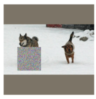 detail from figure 1 of "DetectorGuard: Provably Securing Object Detectors against Localized Patch Hiding Attacks." showing an adversarial patch partially occluding one of the two dogs in the previous image